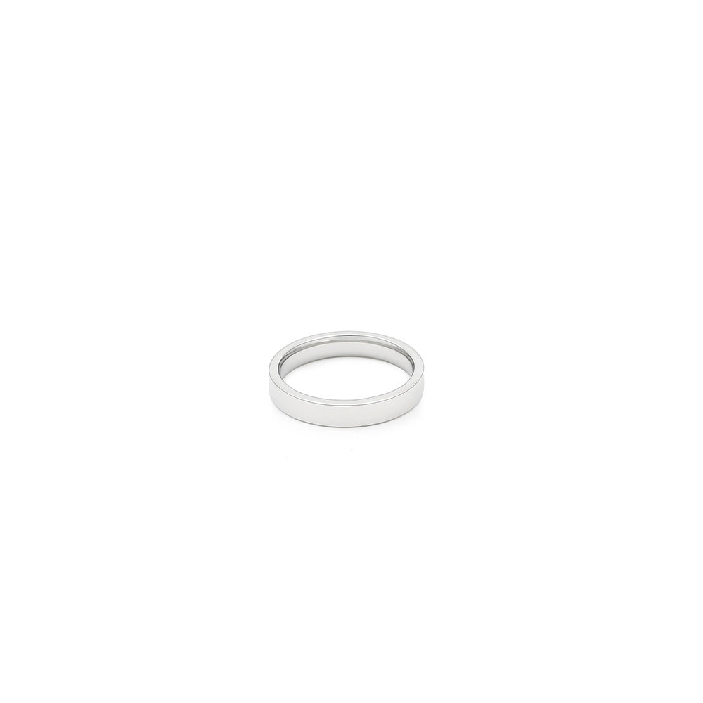 Titanstahl Schlichter Ring