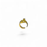 Ferrion Liquid Metal Ring